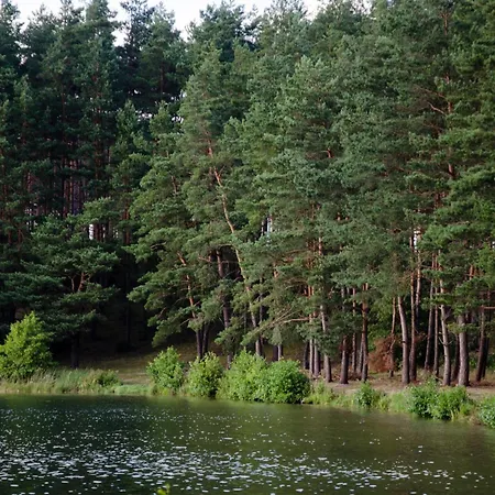 Nad Struzka Holiday home