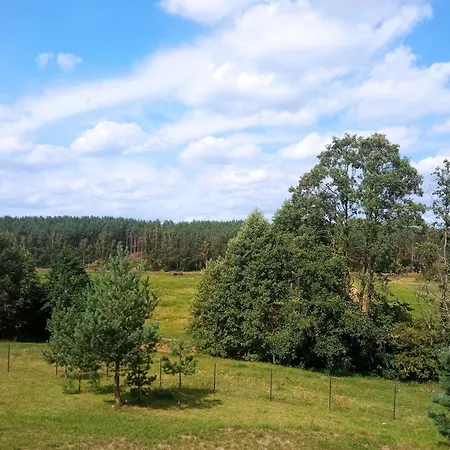 Nad Struzka Wąglikowice