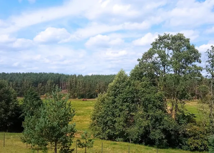 Nad Strużką Wąglikowice